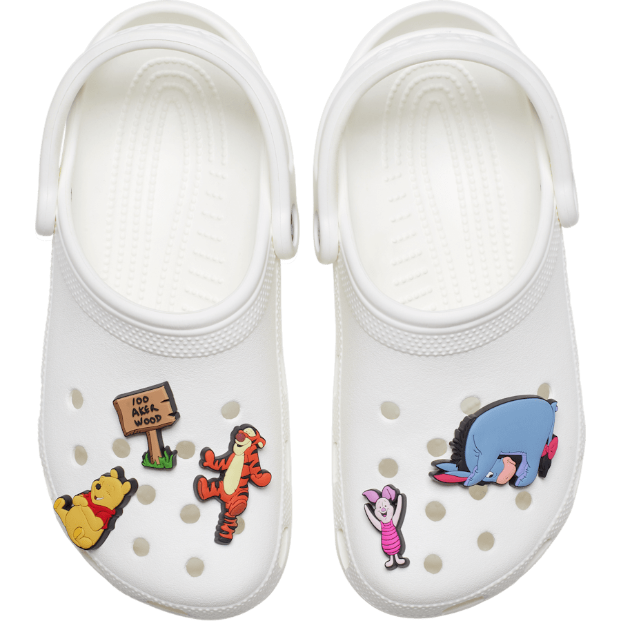 Winnie The Pooh 5 Pack Jibbitz™ charms Women|Men|Kids|Jibbitz™ Charms For Sale