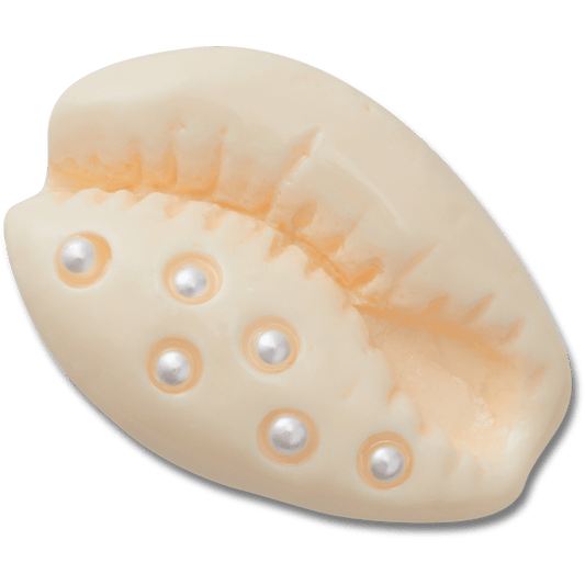 Pearl Puka Shell Jibbitz™ charms Women|Men|Jibbitz™ Charms Online